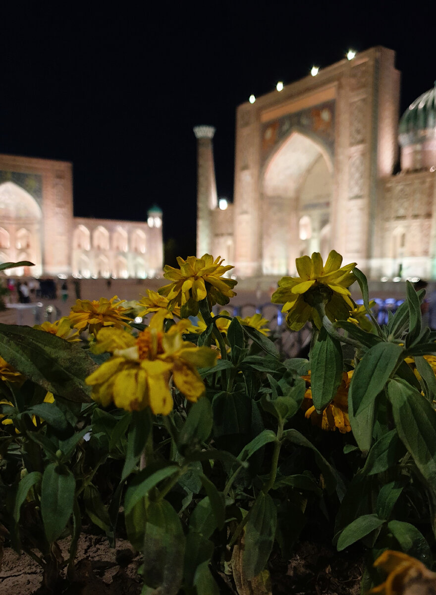 Мне очень понравилось, что вокруг достопримечательностей есть много клумб