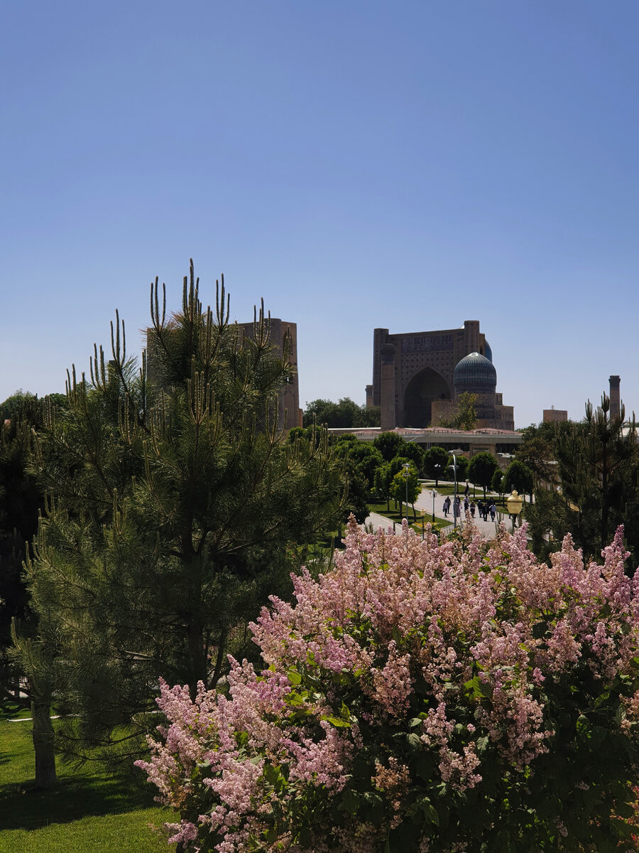 На цветущем фоне достопримечательности смотрятся еще интереснее