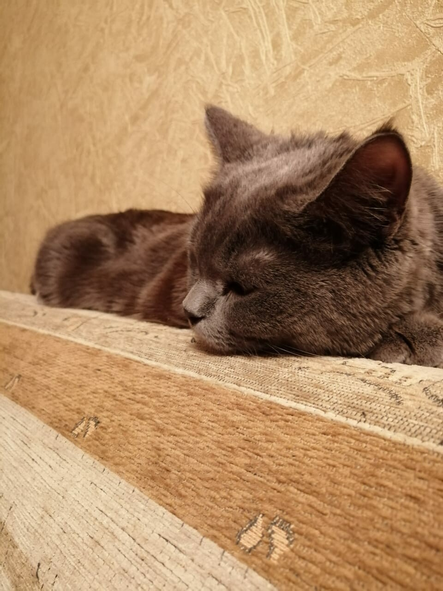 Фото из личного архива