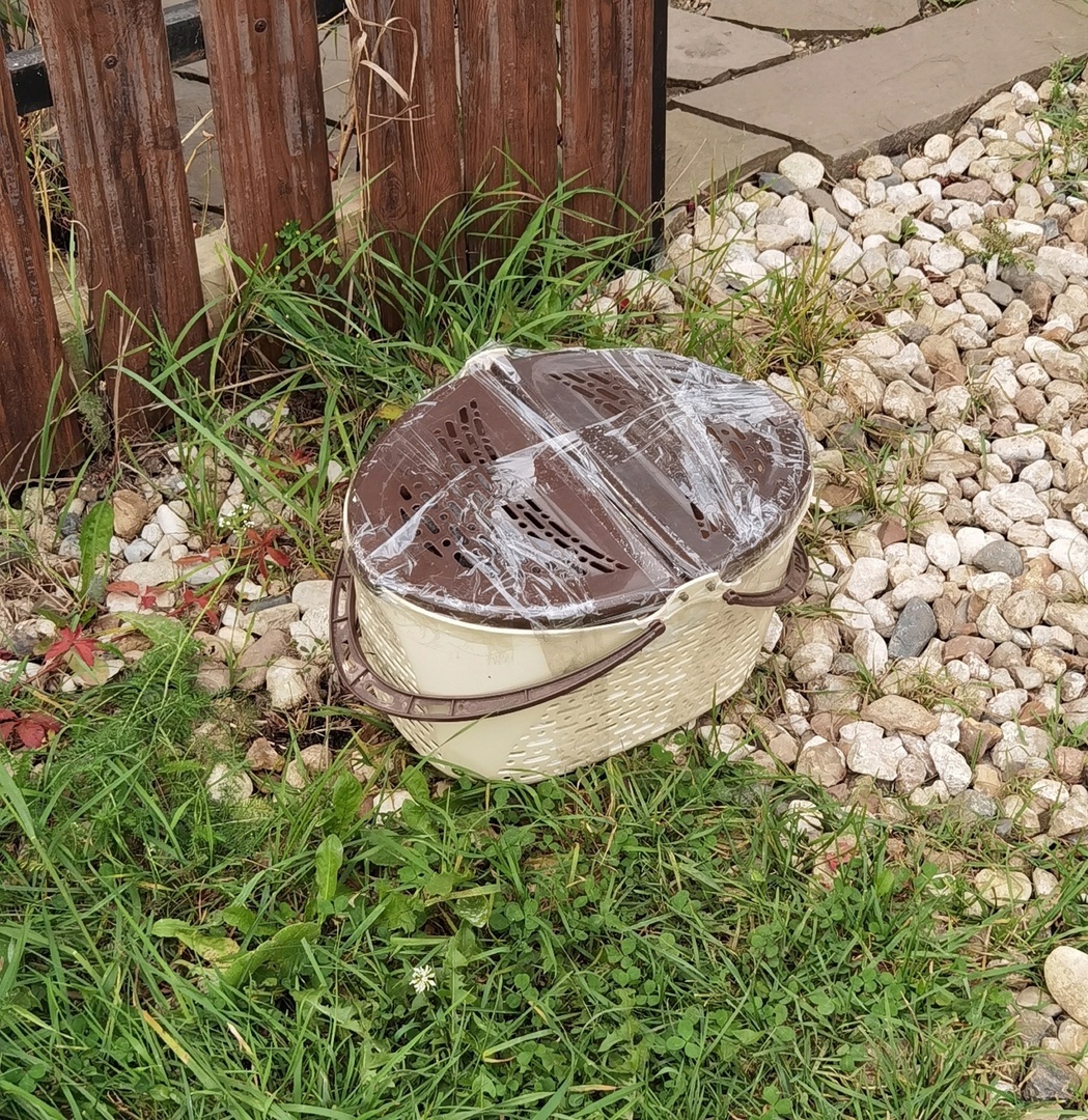 Знакомьтесь, Баба Дуся