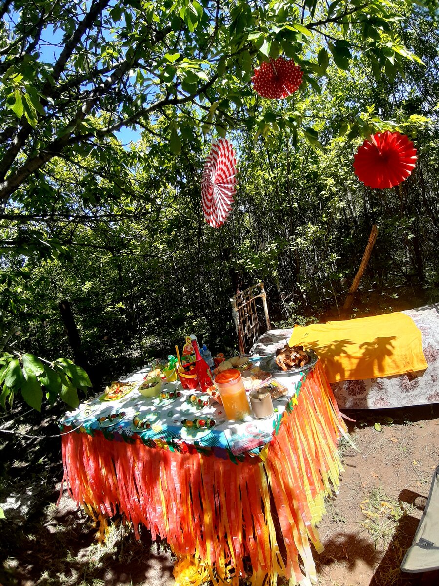 День рождения племяшки