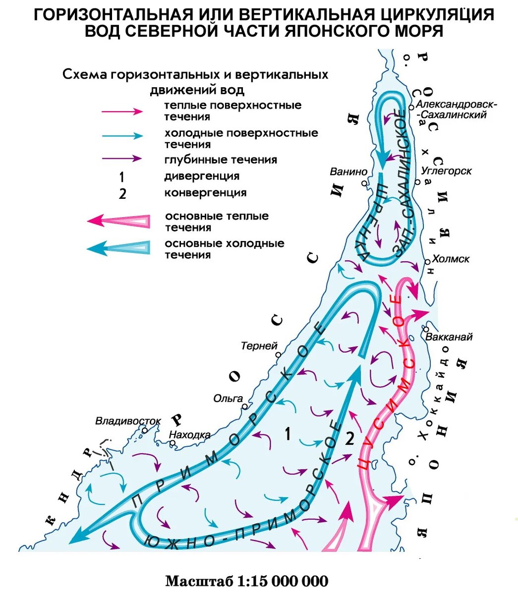 Схема из интернета. Течения у берегов Сахалина, Хабаровского края и Приморья. Так горизонтальная или вертикальная циркуляции? Или их комбинация? Не понятно только почему остаток Цусимского большого тёплого поверхностного течения у Сахалина перед Холмском поворачивает по часовой стрелке обратно в пролив Лаперуза, а не втягивается в малое холодное кольцевое течение в Татарском Проливе? Видать, ДАМБЫ ему как раз и не хватает, чтобы подогреть это кольцо... Чтобы поправить климат в НОВОМ ЗАЛИВЕ... Не уютно ему в проливе... ЗАЛИВ ему подавай...😉