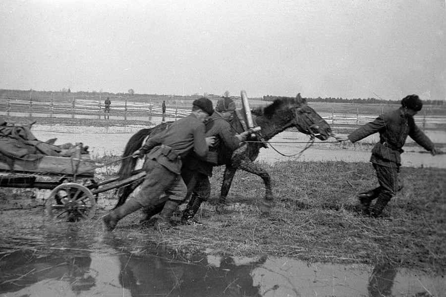Бывало и так... Источник: открытый доступ