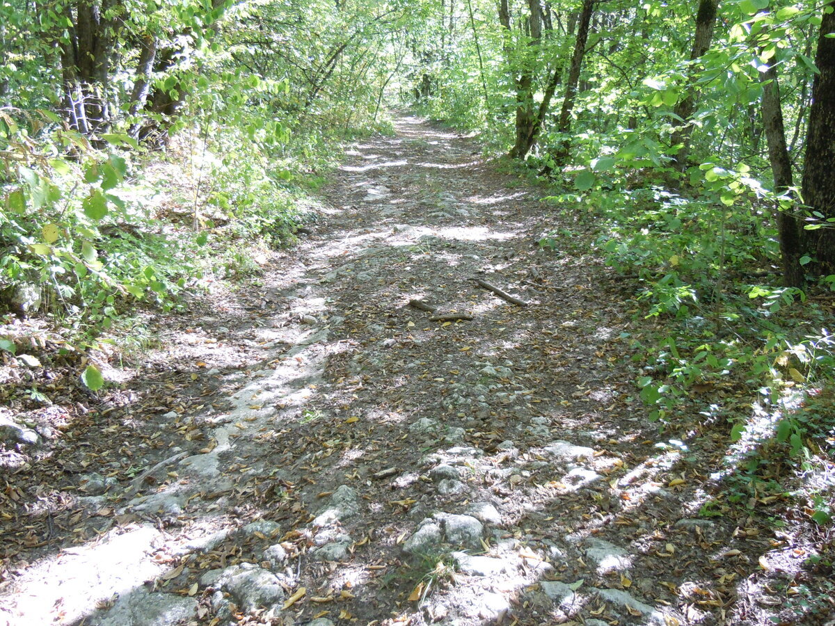 Ранее уже упоминал в другой теме об этом феномене. В 2023 году сделал несколько снимков. Вот самый красивый гладкий участок каменной дороги на пути из станицы Севастопольская к посёлку Победа.-4