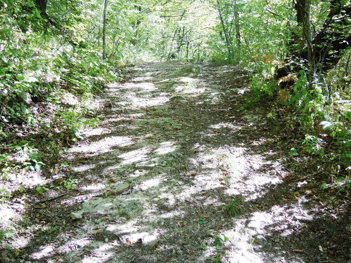 Ранее уже упоминал в другой теме об этом феномене. В 2023 году сделал несколько снимков. Вот самый красивый гладкий участок каменной дороги на пути из станицы Севастопольская к посёлку Победа.-3