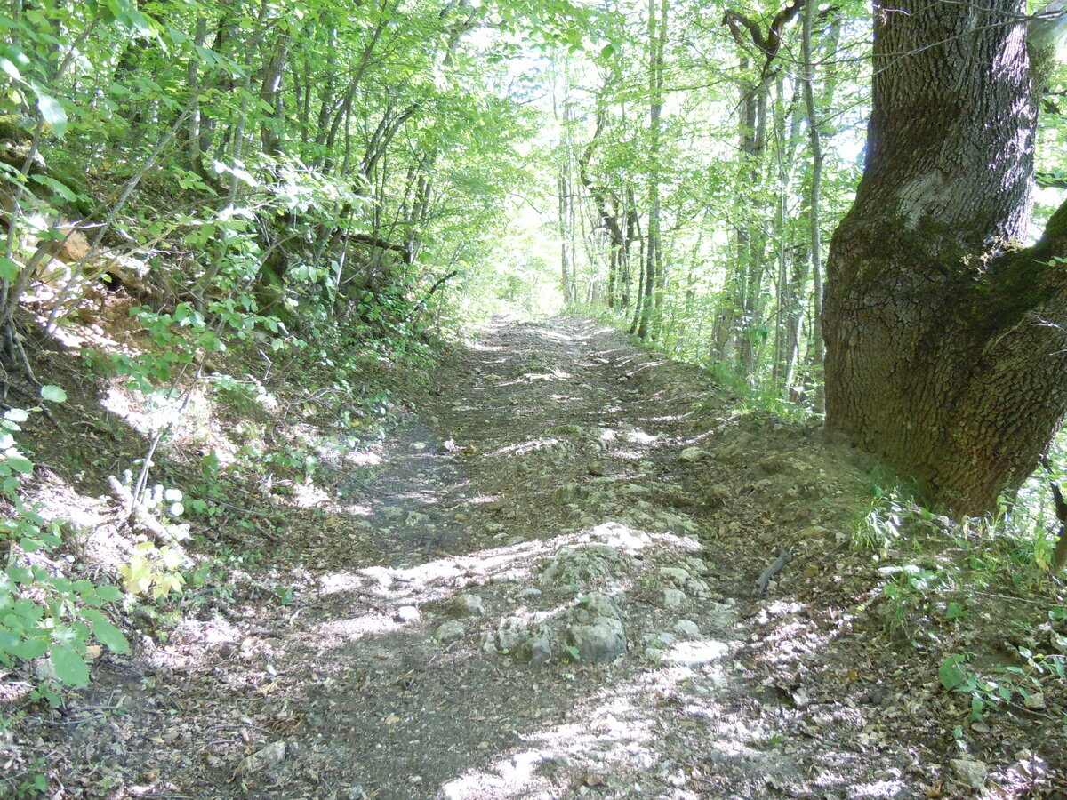 Ранее уже упоминал в другой теме об этом феномене. В 2023 году сделал несколько снимков. Вот самый красивый гладкий участок каменной дороги на пути из станицы Севастопольская к посёлку Победа.-2