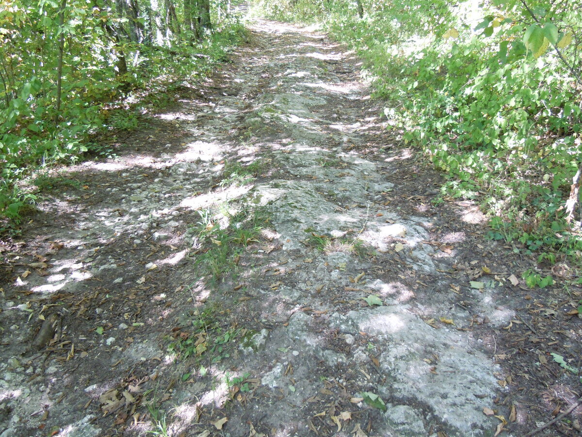 Ранее уже упоминал в другой теме об этом феномене. В 2023 году сделал несколько снимков. Вот самый красивый гладкий участок каменной дороги на пути из станицы Севастопольская к посёлку Победа.-5