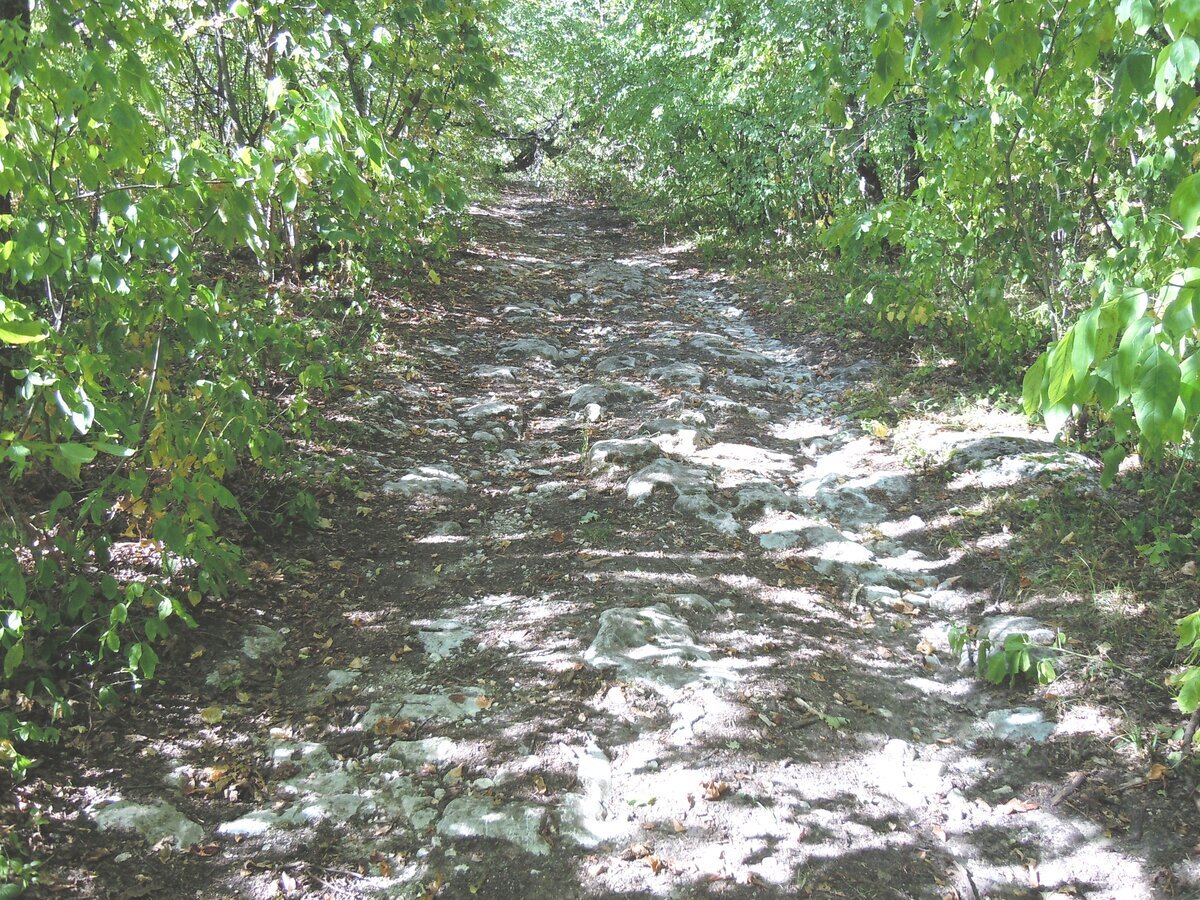 Ранее уже упоминал в другой теме об этом феномене. В 2023 году сделал несколько снимков. Вот самый красивый гладкий участок каменной дороги на пути из станицы Севастопольская к посёлку Победа.-6