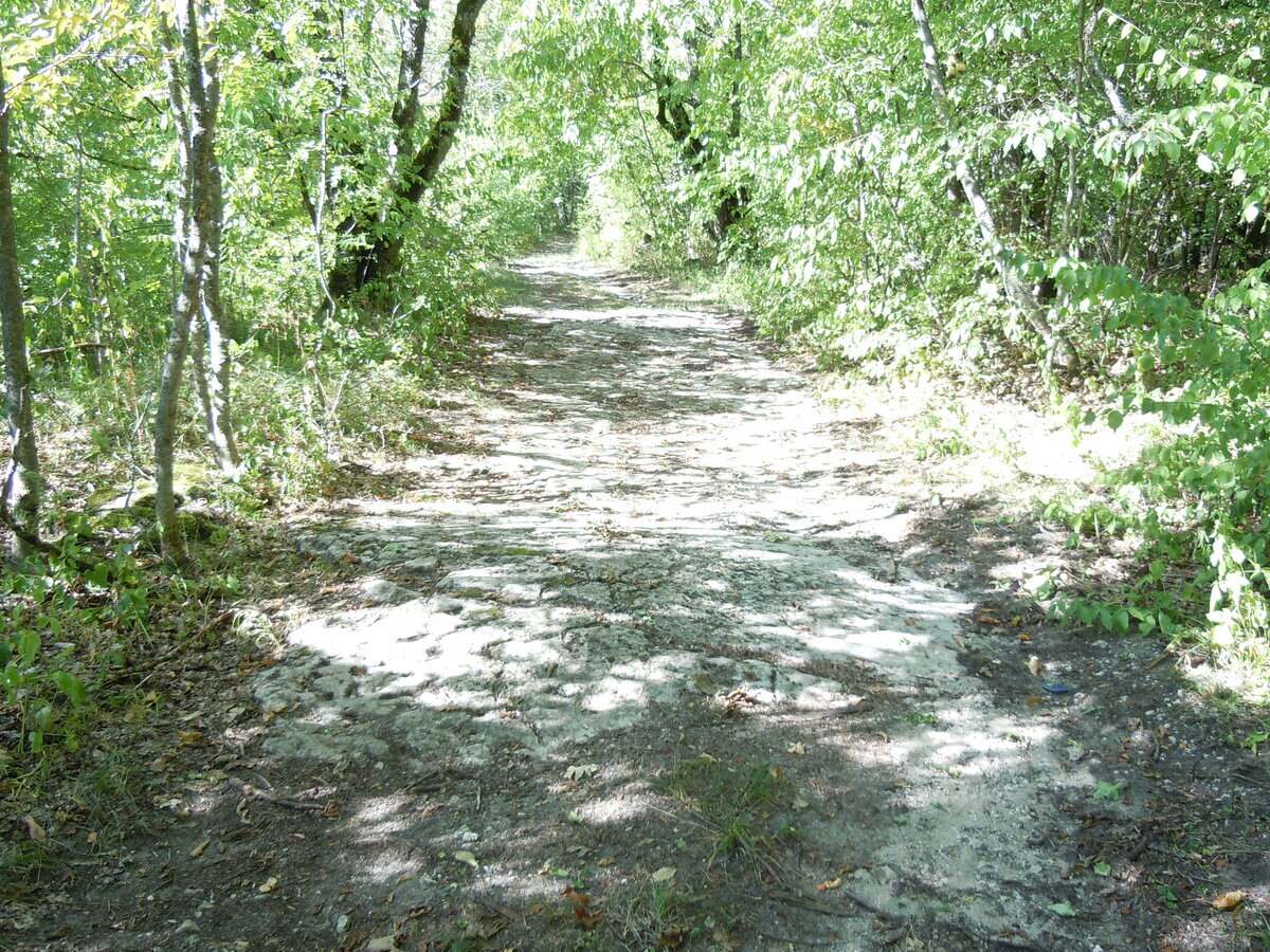 Ранее уже упоминал в другой теме об этом феномене. В 2023 году сделал несколько снимков. Вот самый красивый гладкий участок каменной дороги на пути из станицы Севастопольская к посёлку Победа.-7