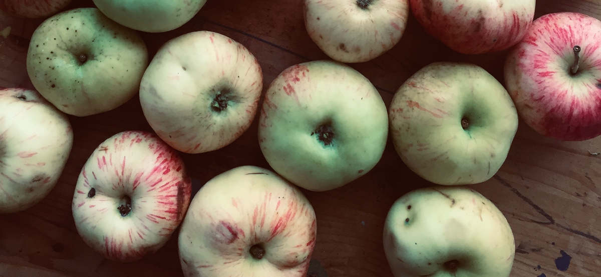 Фото Марии Медведевой