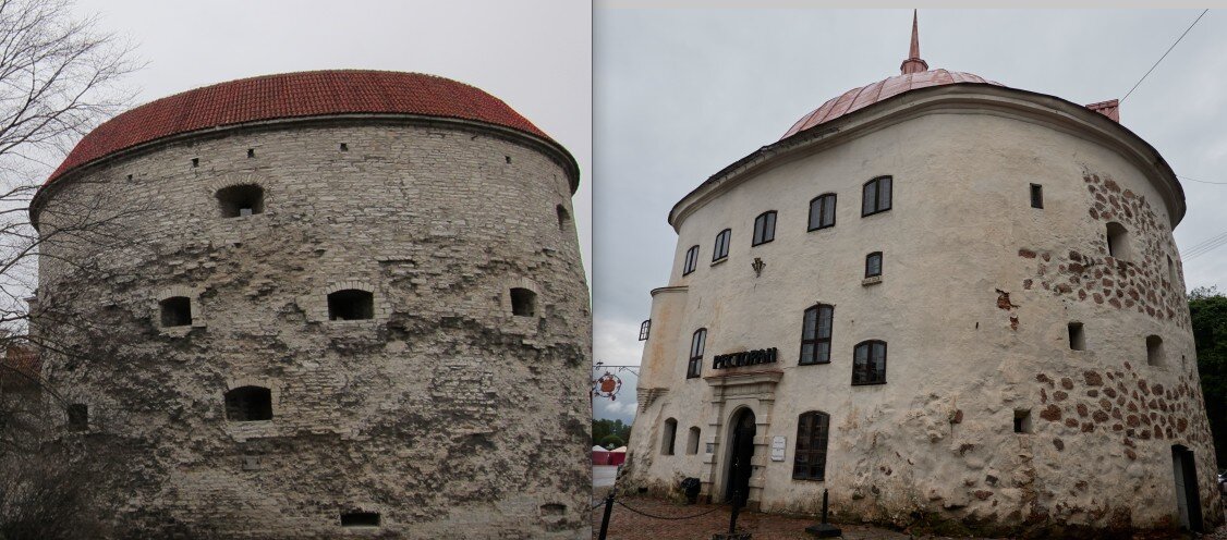 Толстая Маргарита и Толстая Екатерина