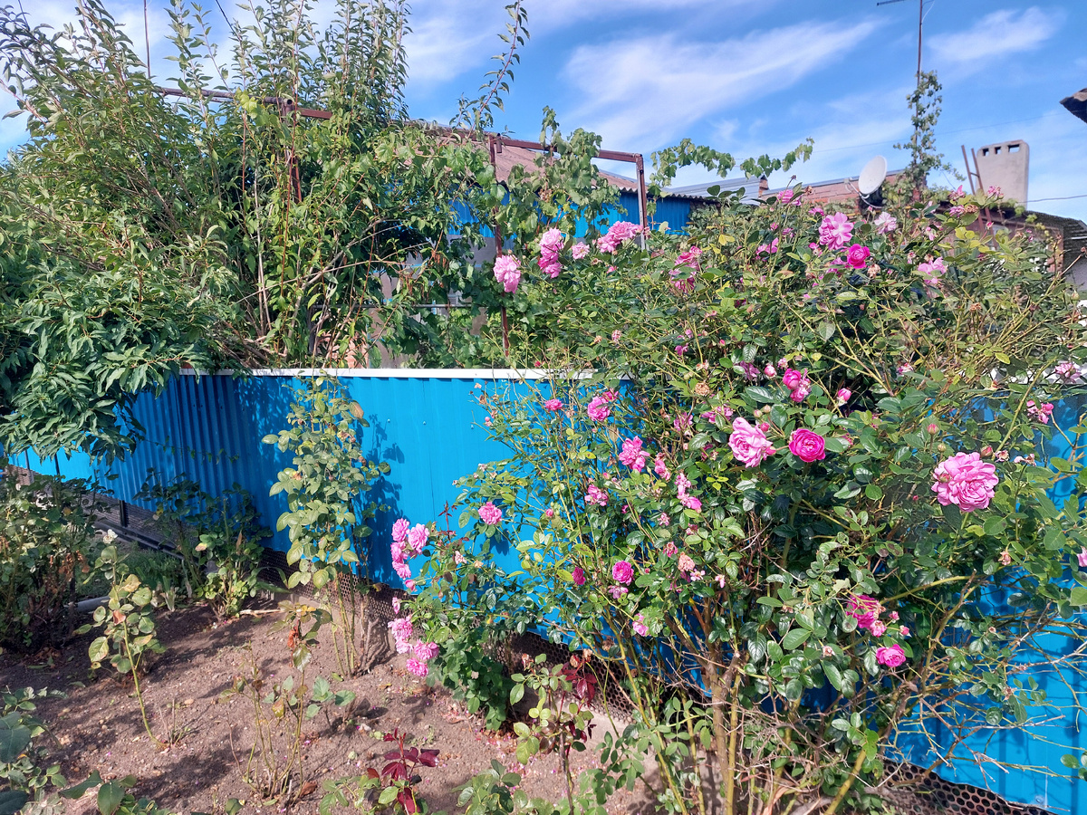 Жизнь в селе.