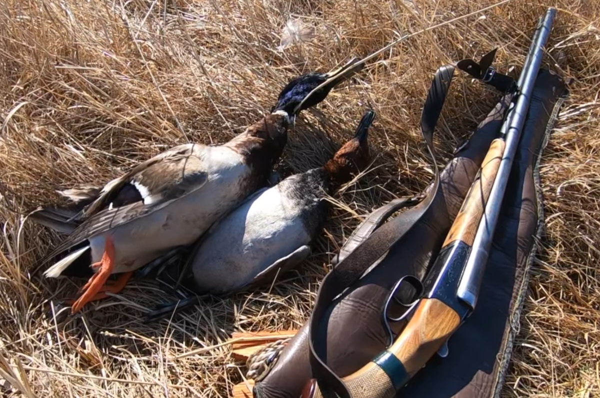 Источник изображения: https://www.youtube.com/watch?v=pHEX0a3Wp20