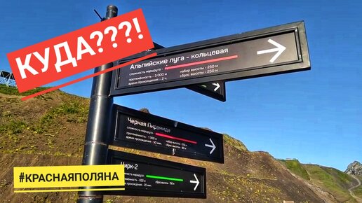 Цитаты чтобы послать. Иду мем. Куда вошел туда. Куда вошел туда. Куда вошел туда.