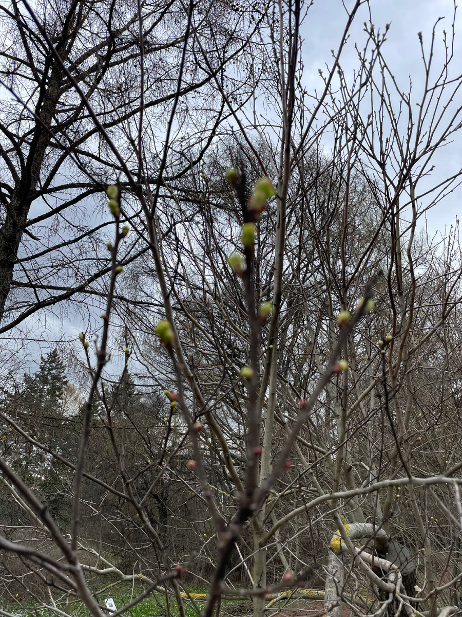 Начало большого пути заложено