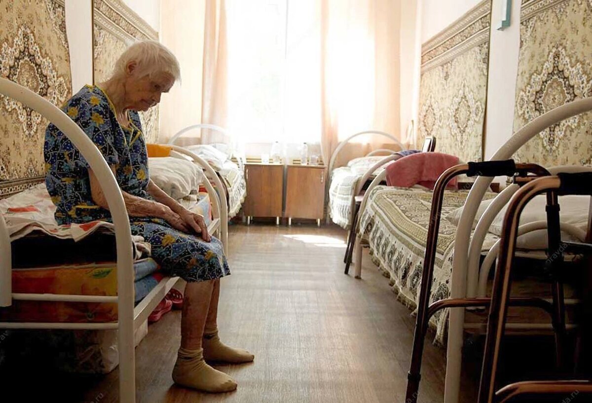 В Калининграде обокрали приют для старых животных (фото, видео) - Новости Калининграда