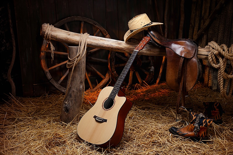 Dreadnought  (Milena Music)