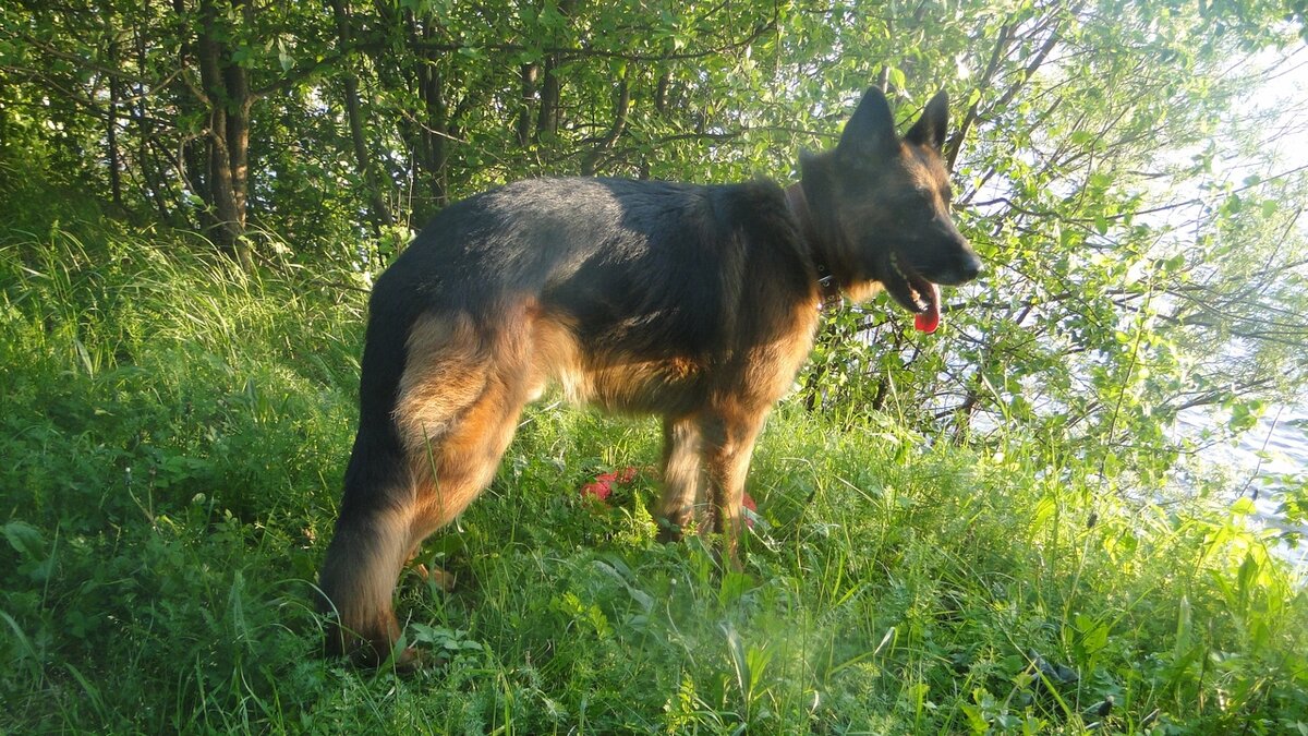 Эрих, июль 2019. Фото автора. 