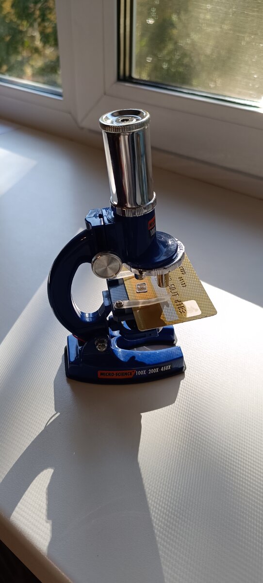 Виновники торжества