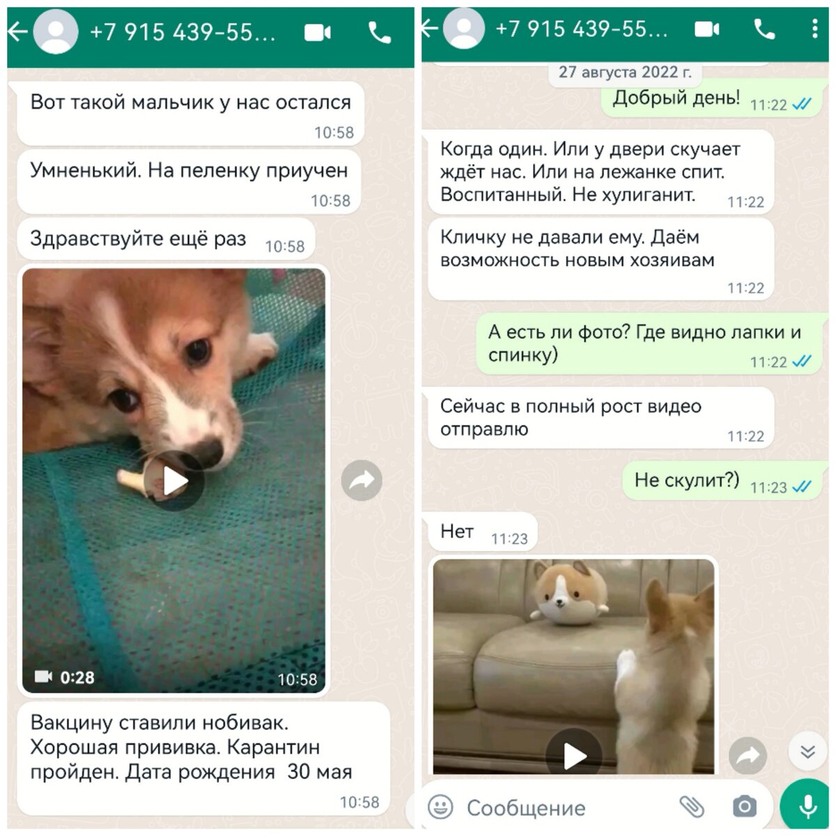 Переписка с мошенником