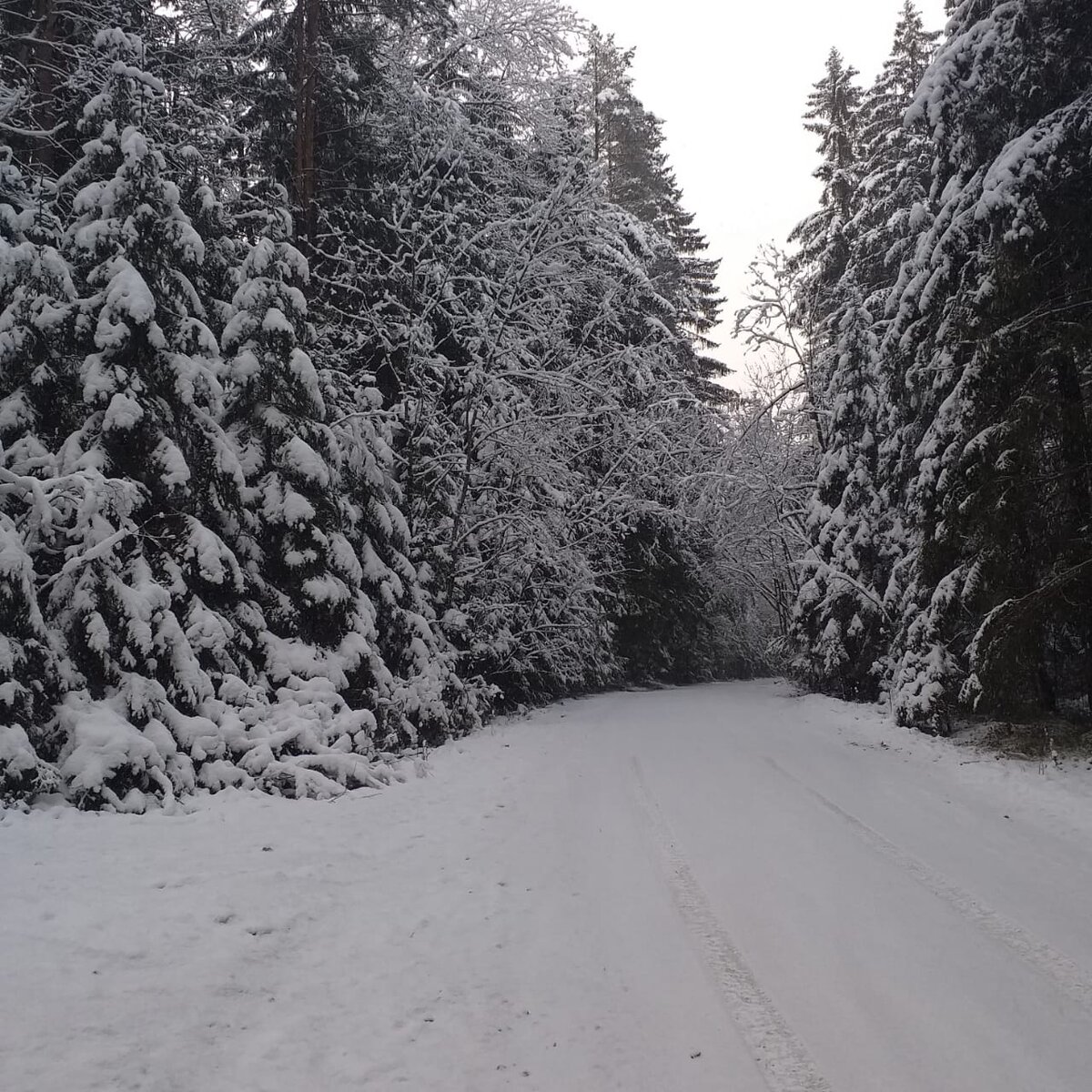 Зима. Декабрь.