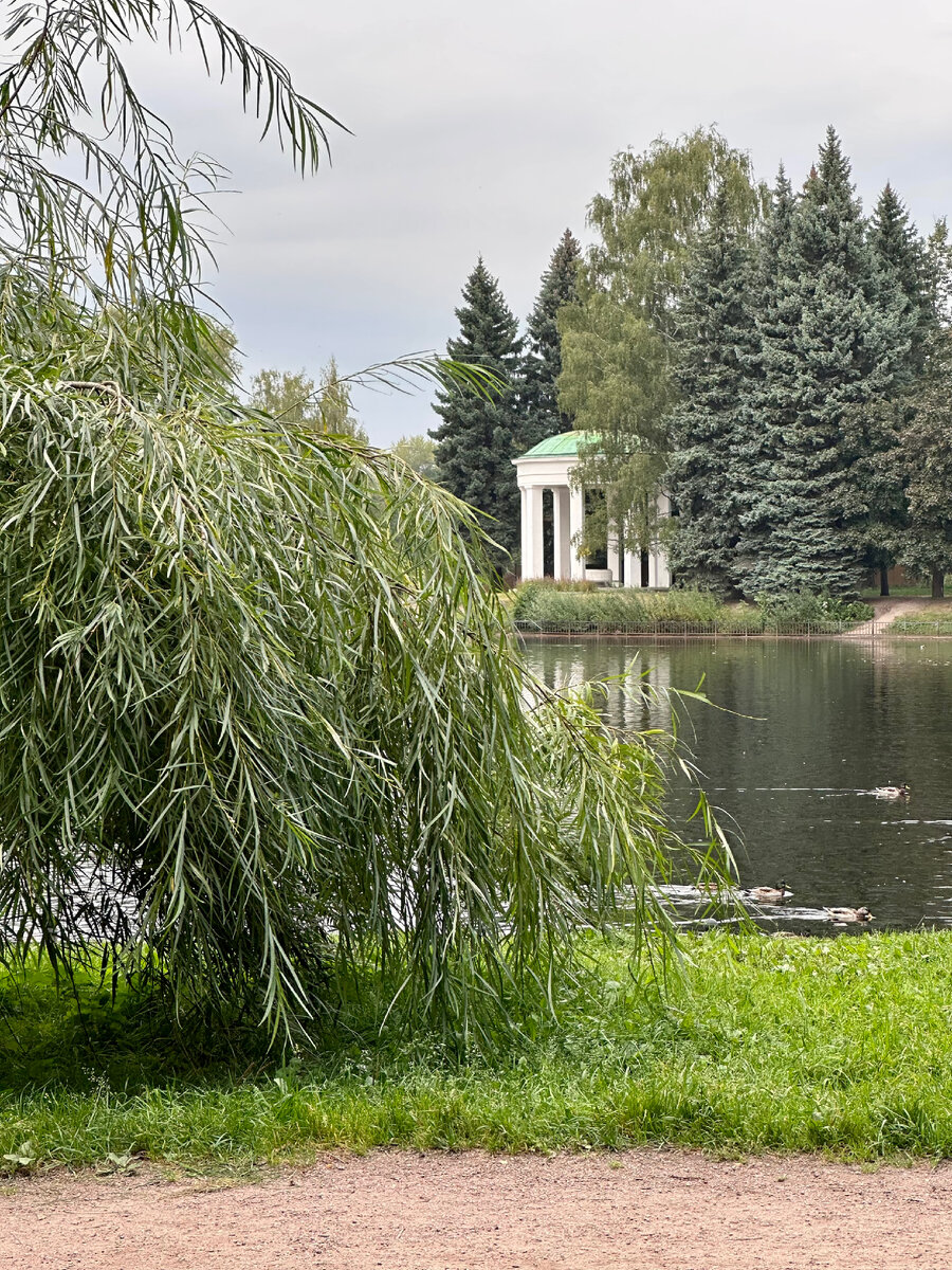 Крестовый остров. Лебяжий пруд.