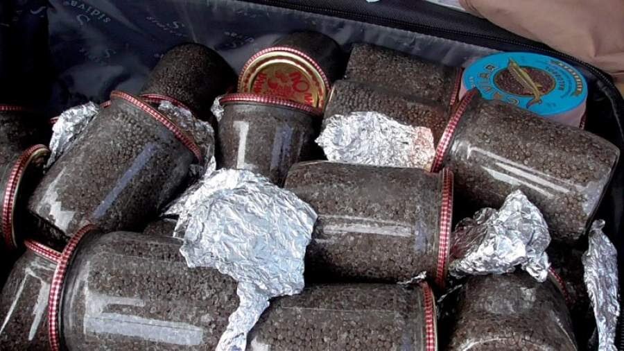 Браконьерская чёрная икра. Фото из сети Интернет 