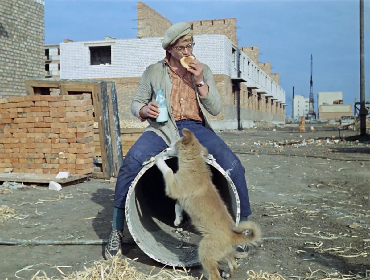 Кадр из комедии "Операция Ы и другие приключения Шурика".