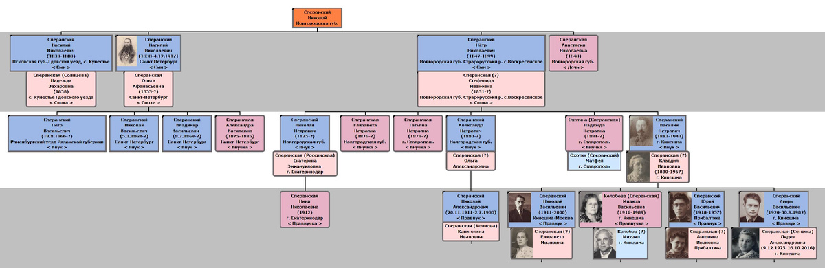 Родословное древо дьячка Николая Сперанского 