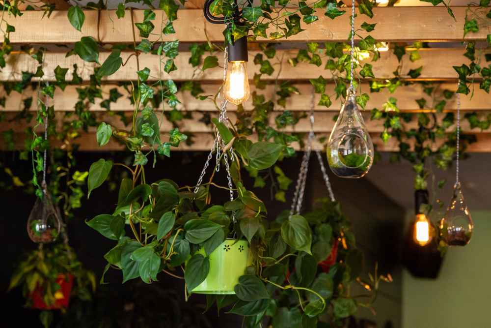 Освещение зимнего сада на веранде