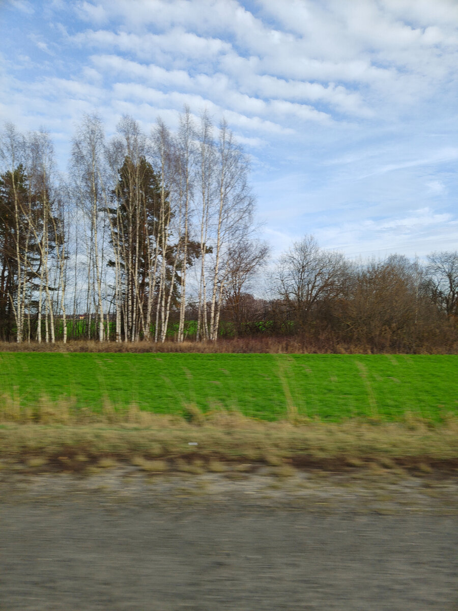Ноябрь на севере Нижегородской области. Фото сделано мной.