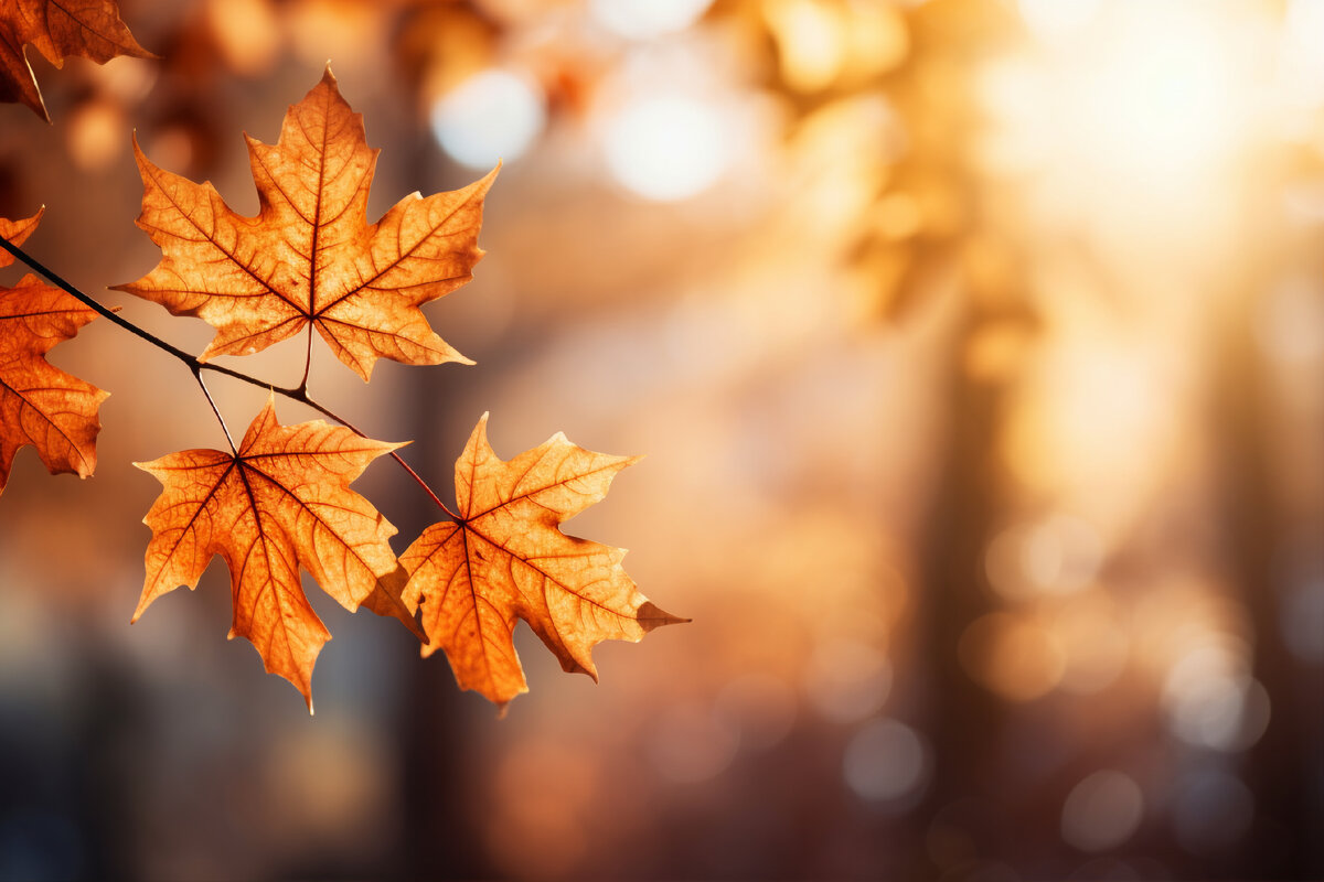 Image by Freepik 