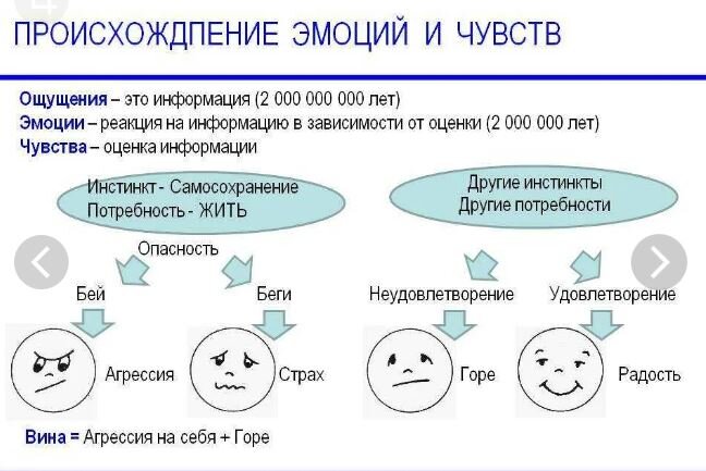 Ощущения и эмоции рождают Чувства...