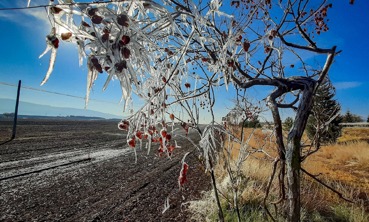 Заморозки ночью в Турции октябрь 2022г.