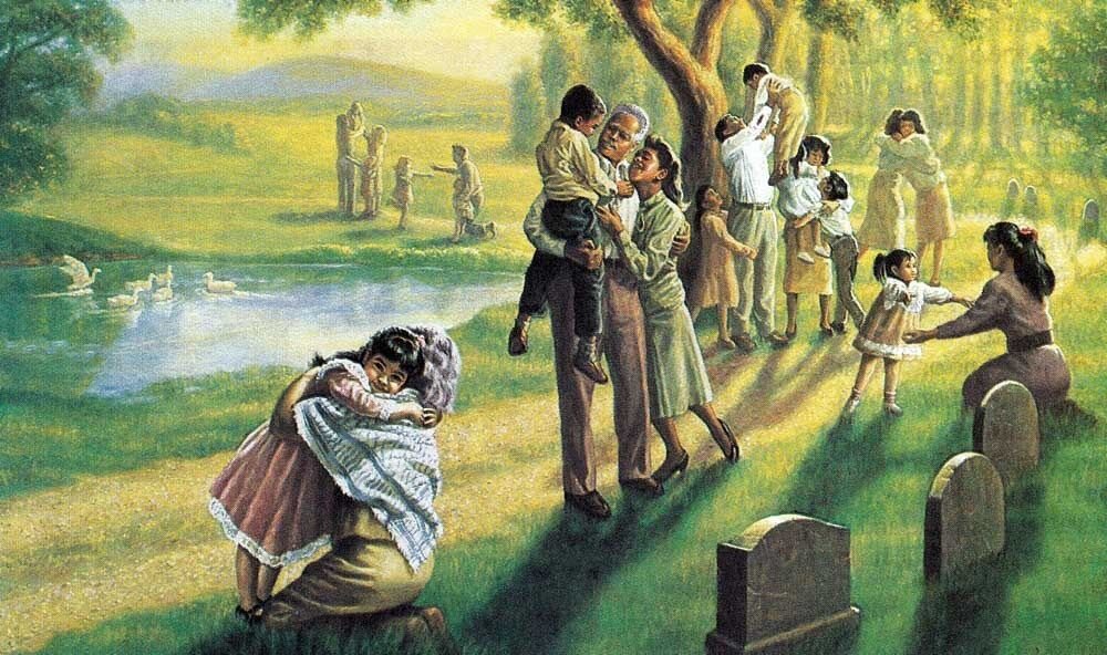 Фото из открытых источников интернета. 