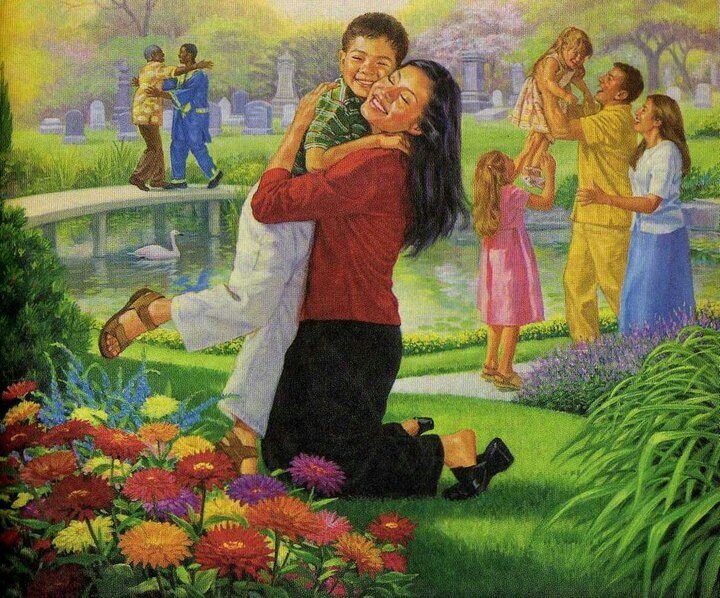 Фото из открытых источников интернета