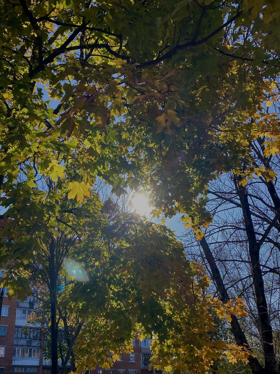 Фото из архива автора