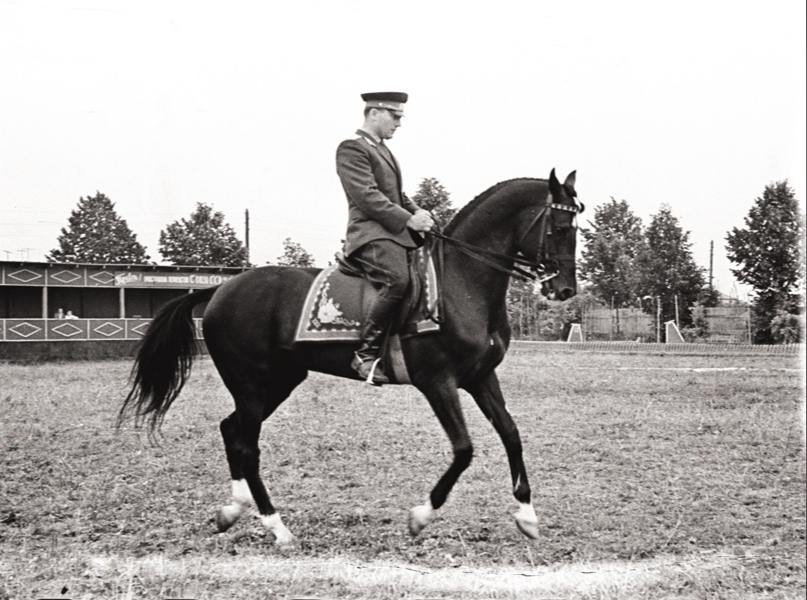 Сергей Филатов и Абсент на соревнованиях по выездке, 1960 г. Источник: открытый доступ