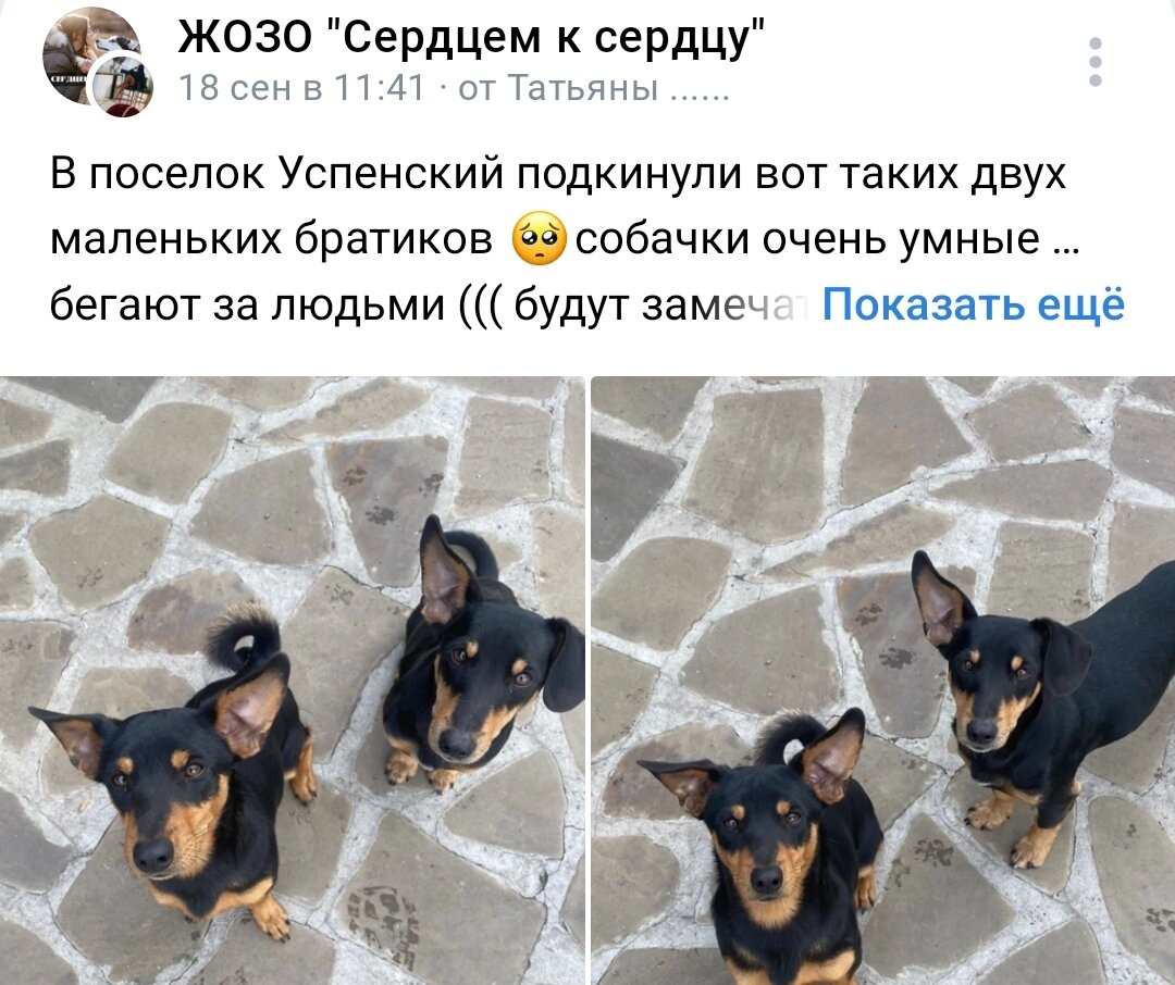 Один из постов.