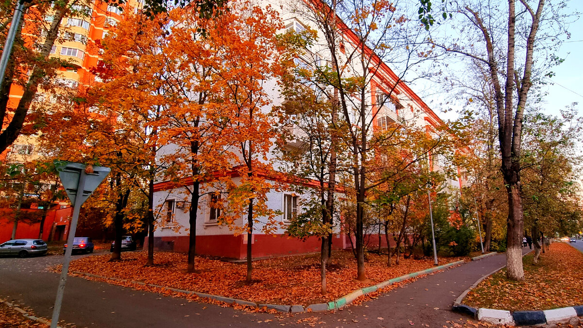 Золотая осень в Лыткарино 🍂 Где погулять и сделать прекрасные фотографии?  | Gruzkova Travel | Дзен