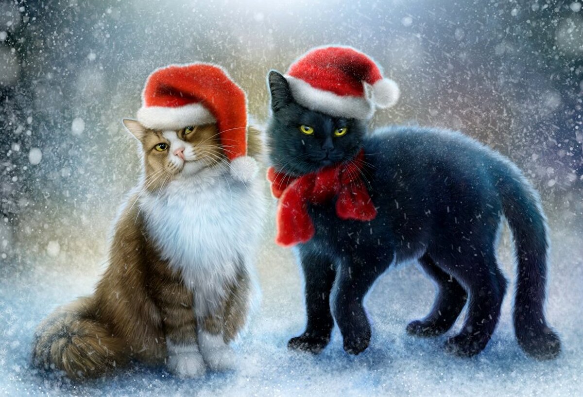 Кошки в новогодних шапочках