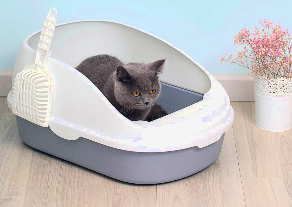 Туалет для кошки