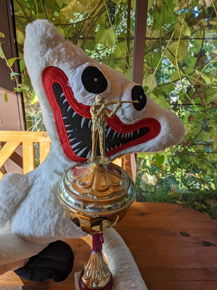 Кубок мужа, который не удалось подтвердить в тире при кинотеатре