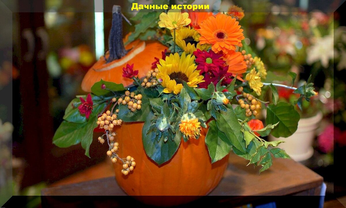 https://vk.com/photo-159774511_457262100