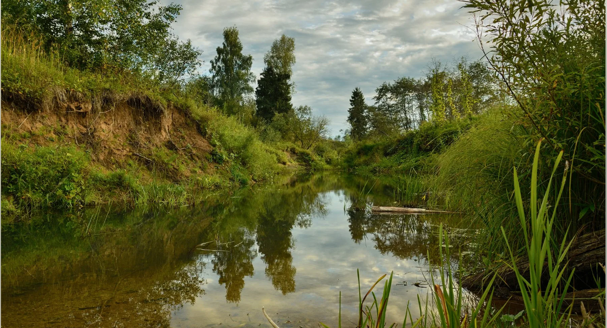 Река узола нижегородская область. Р он река. Река дёржа тверская область. Р он река. Река андога вологодская область.