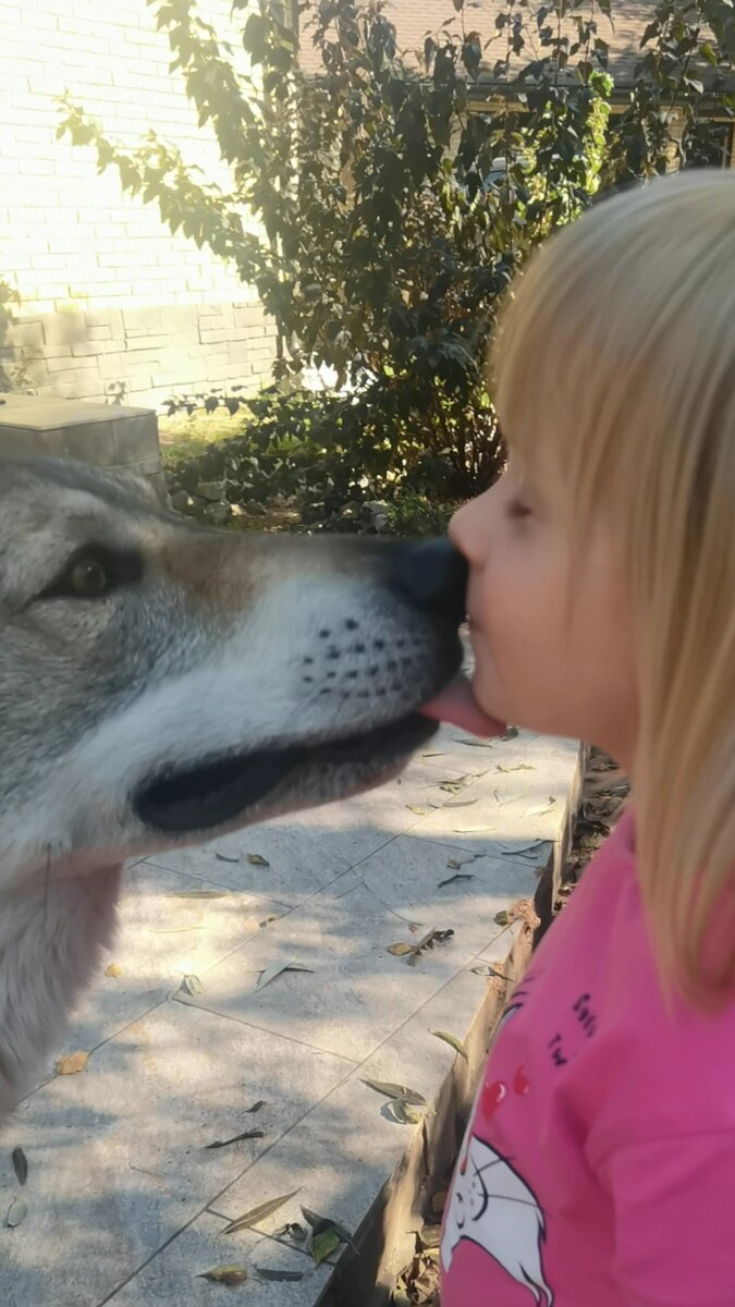 Рядом с ней Гарри забывает, что он грозный хищник.