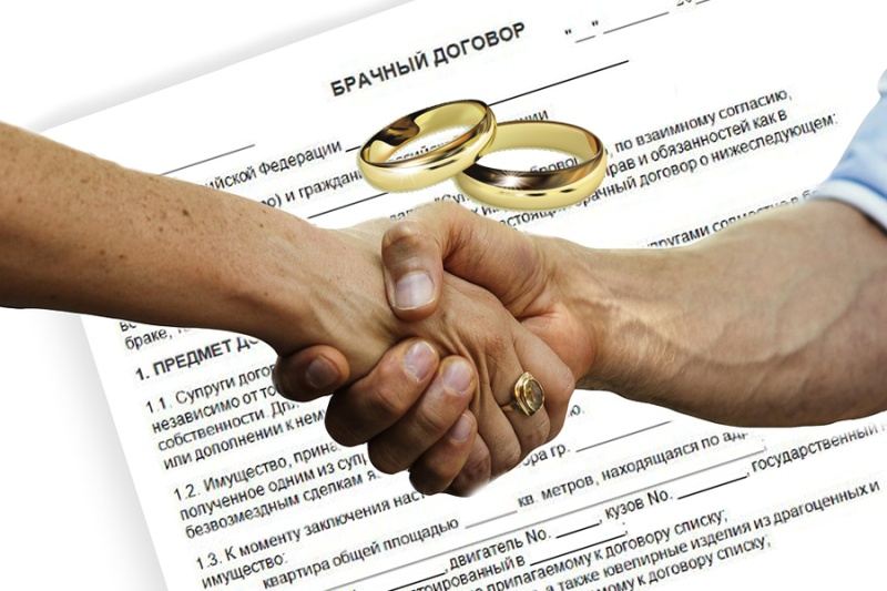 Коллаж: ГТРК «Вектор»