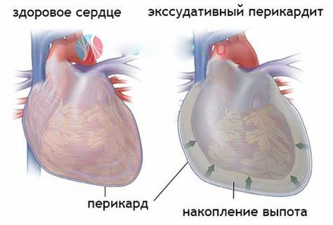 Услуги и цены | КДЦ «Ультрамед»