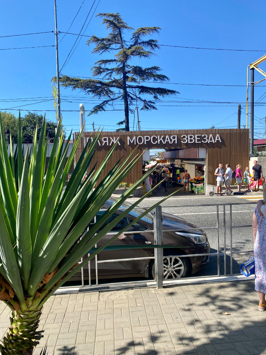 Оживленная улица Лазарева 