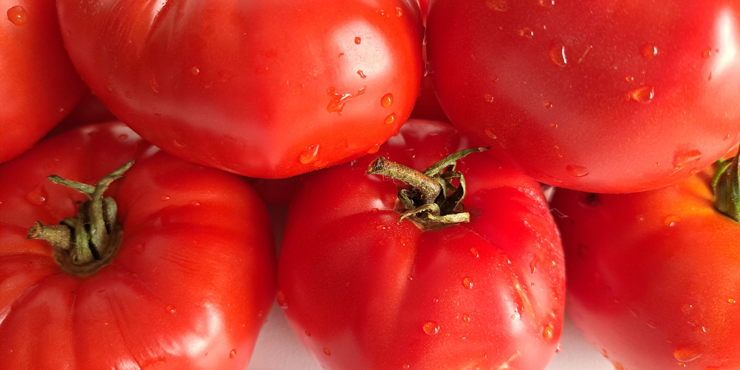 КАТАЛОГ томатов на 2024 г. ЗАКАЗ СЕМЯН